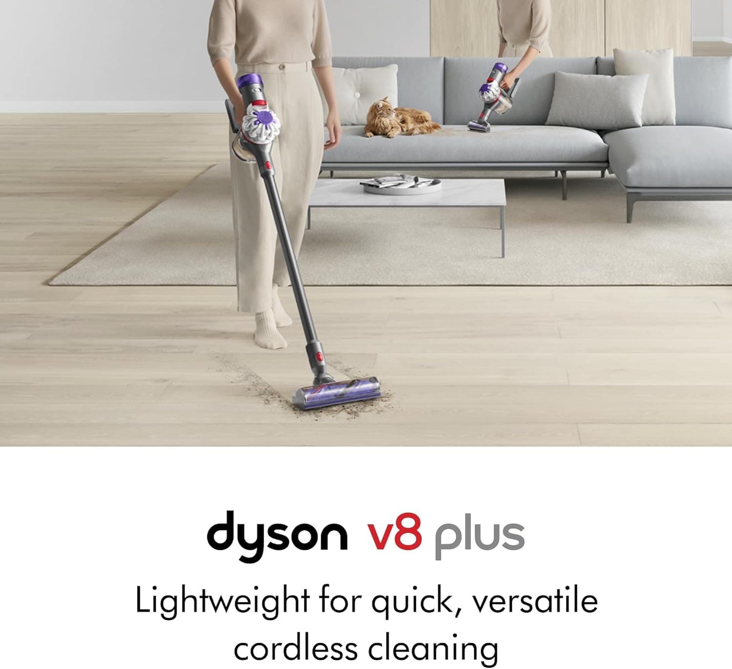 Dyson V8 Plus Review 2026 - Best Budget Stick Vacuum