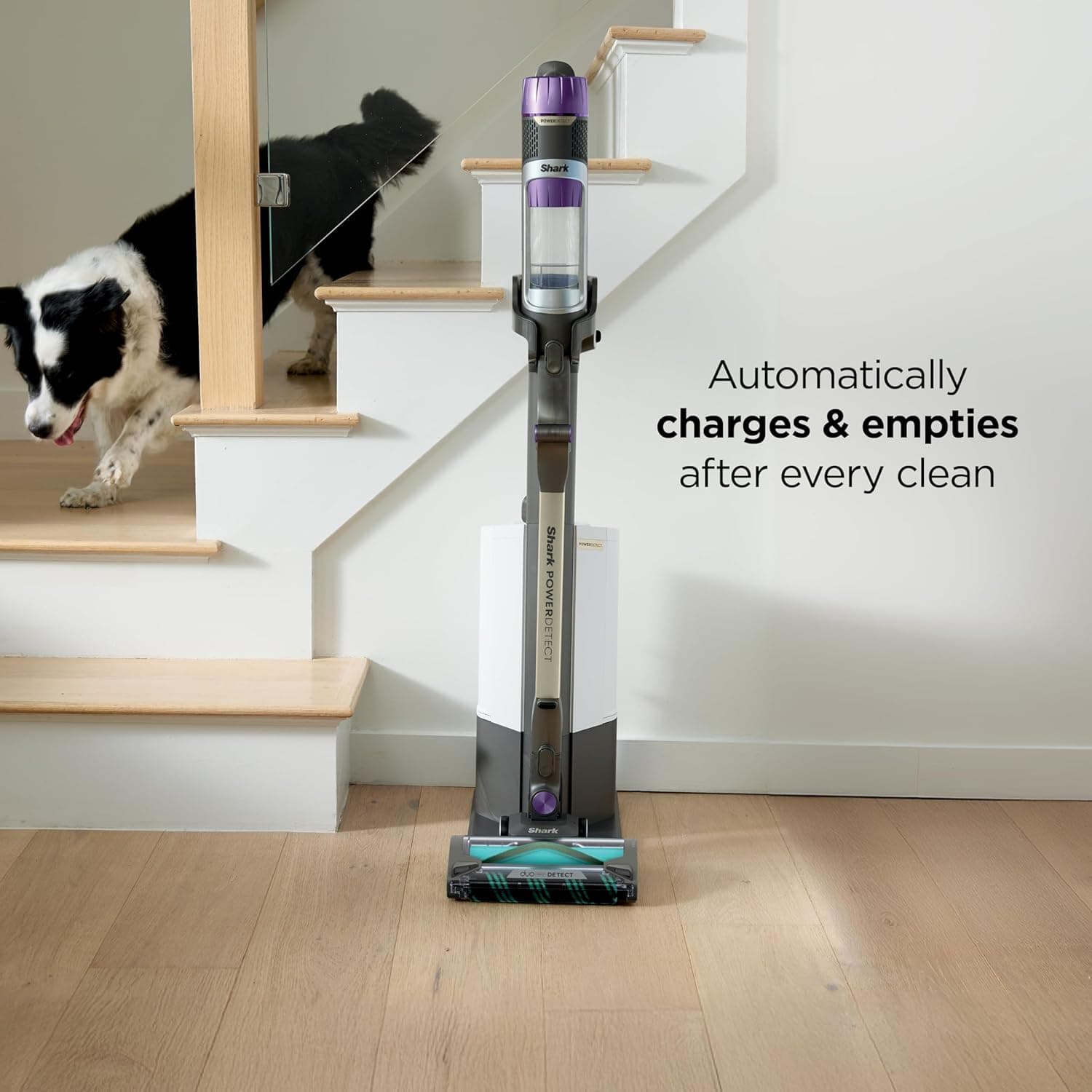 Shark PowerDetect Clean & Empty Review - AI-Powered Stick Vacuum with Self-Emptying Base