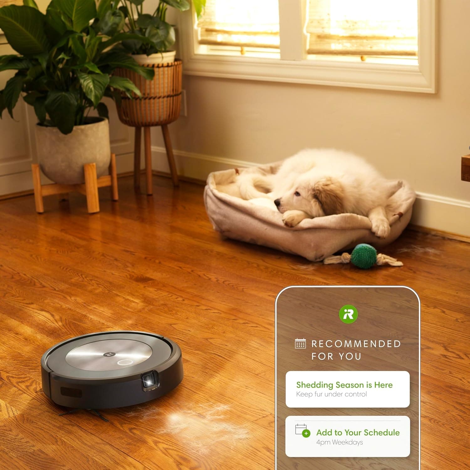 iRobot Roomba j7+ Self-Emptying Robot Vacuum Review - 9.4/10 Rating